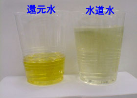 �d���Ҍ����𒍂�