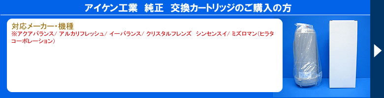 �A�C�P���H�Ɓ@�����@�����J�[�g���b�W�̂��w���̕�