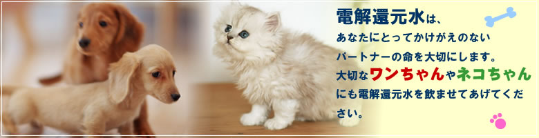 �d���Ҍ���