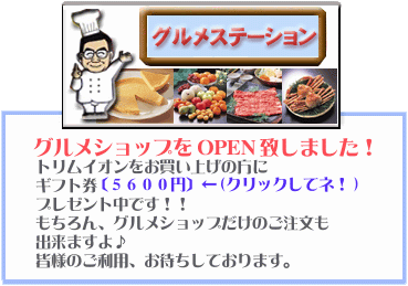 �e�N�m�X�[�p�[502�@�Ɩ��p�A���J���Ҍ����E���_���� �A��������@ATX-503