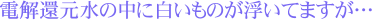 dҌ̒ɔ̂Ă܂EE
