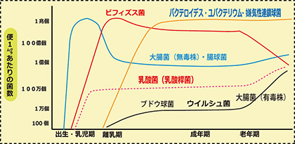 菌数グラフ